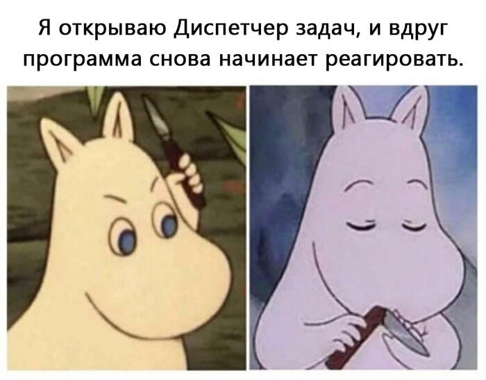 ���� ����������