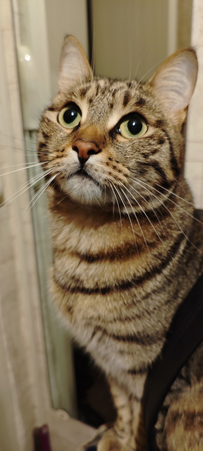 ��������� �������