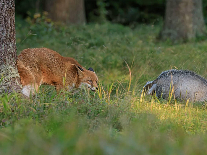 ������ � ������� ���������� � Ÿ ����������� �������������!