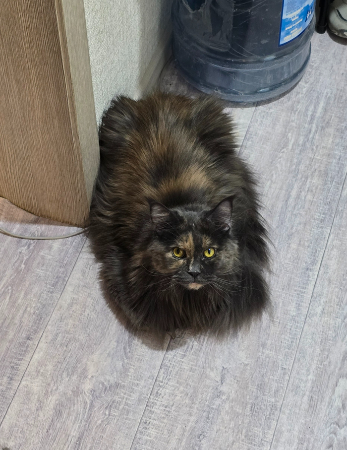 "�� � �� �� ��� ��������?"