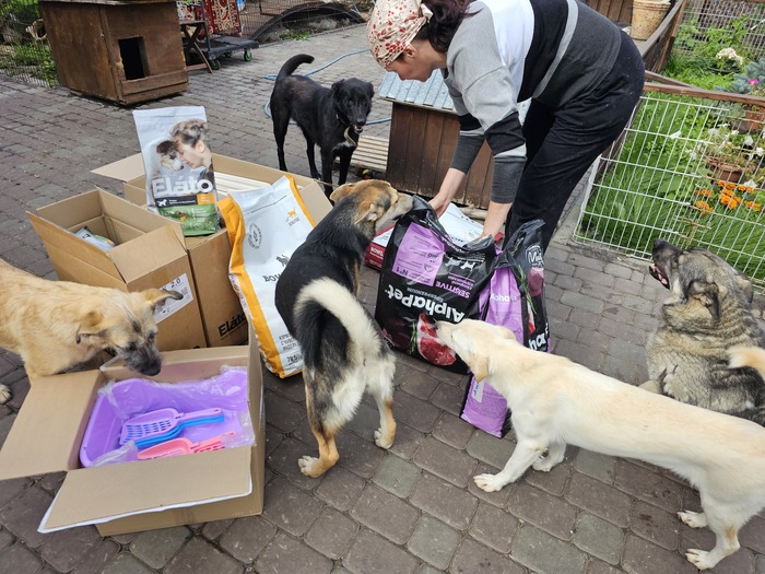 ����� �� ���� ��������� ������� �� ����������� ������ ���. ������� �������� �������.