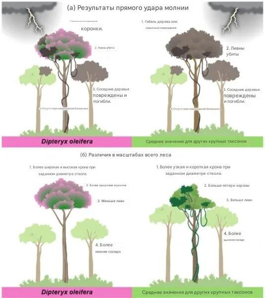 ����������� ������� ����� ������. �������� � ��������� ����� ���� - ������ ����. ������� �������� ��� ������ �������� ������� �����