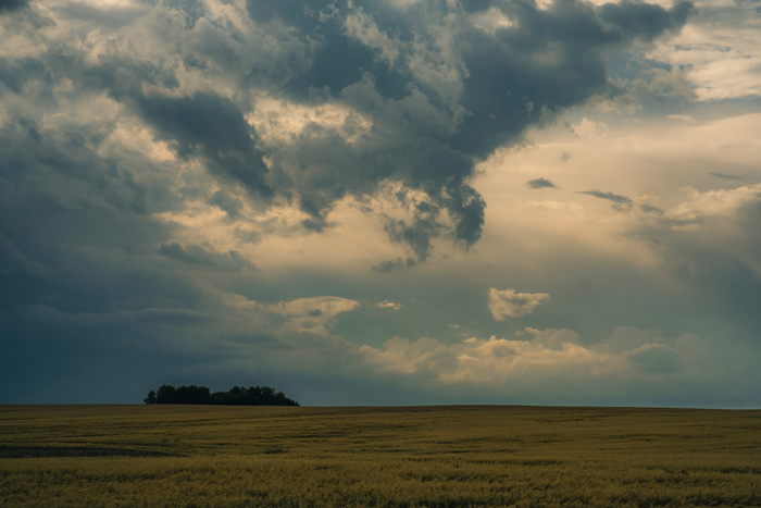 � ���� ����� ������