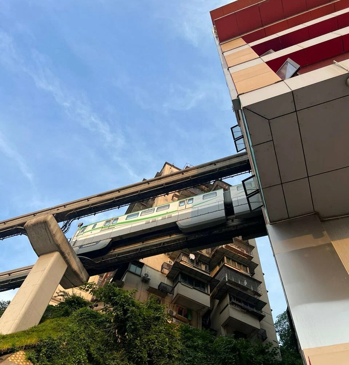 ��������: ������ �����