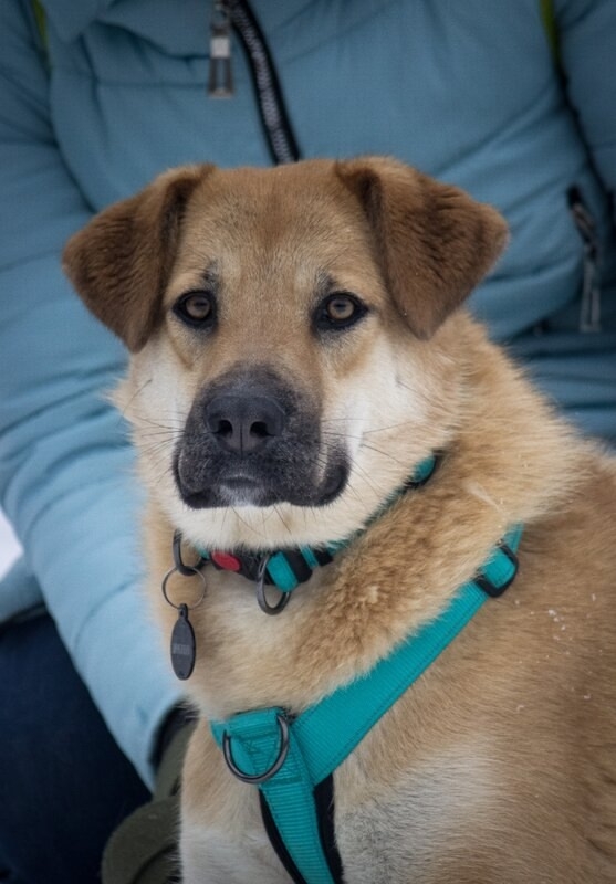 �������� ���� ���� ��� � ������� �����!