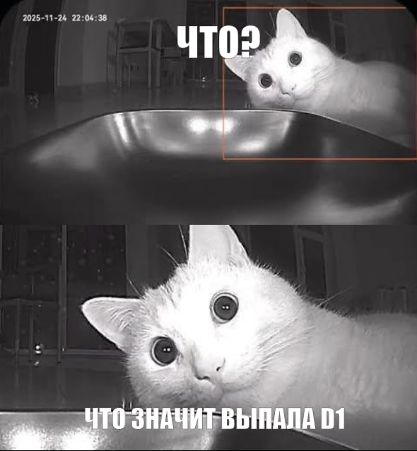 ����������� ������ � ����� ���