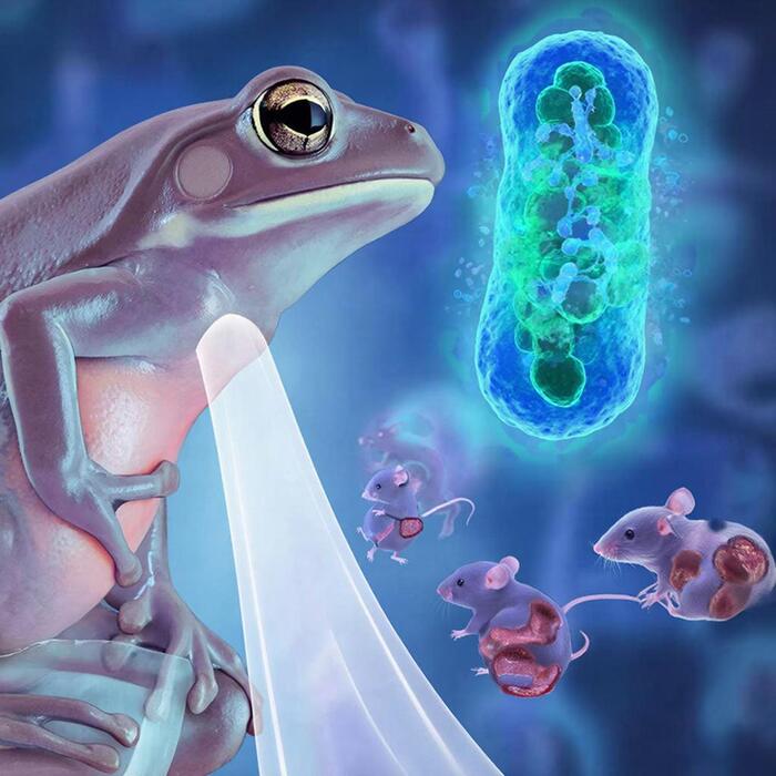 ����� ������� � ������ � �����: �������� Ewingella americana