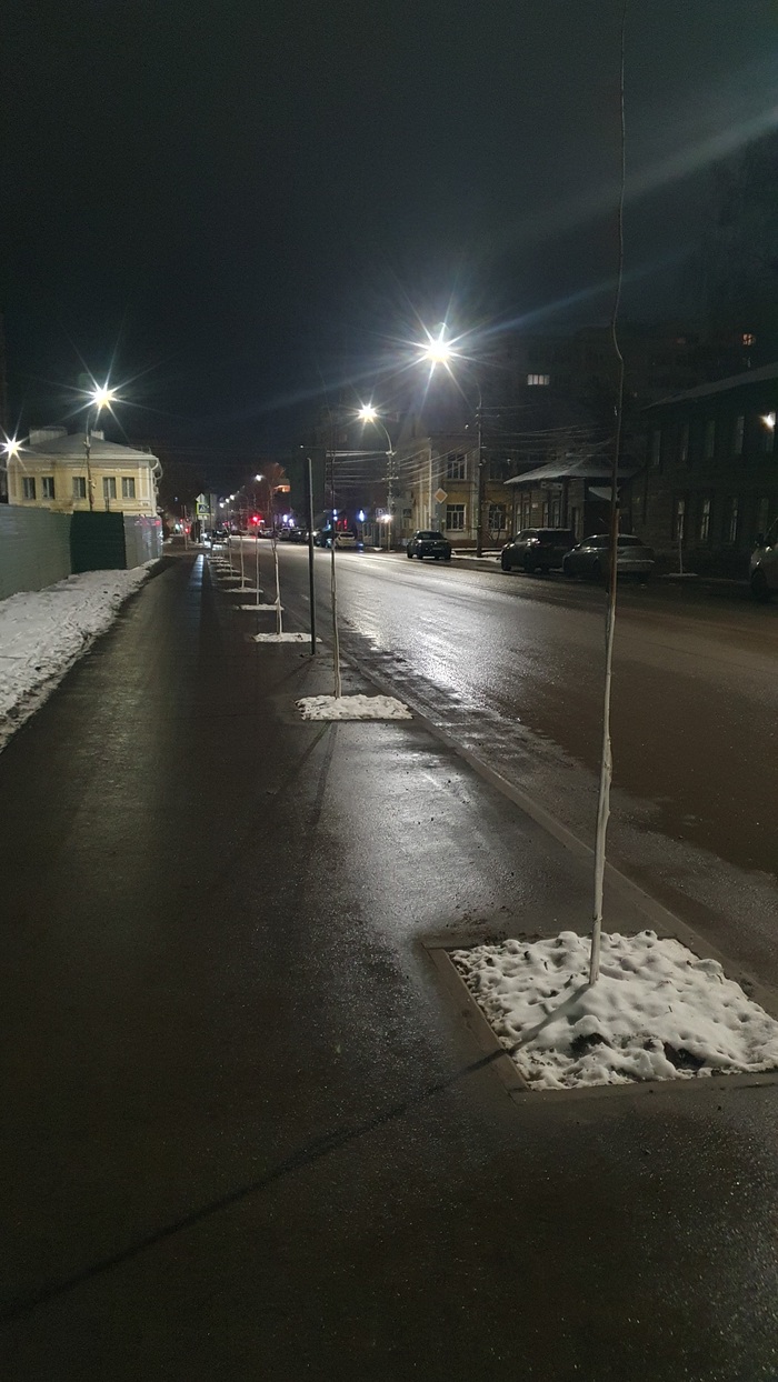 Беззащитные саженцы на улице Введенской