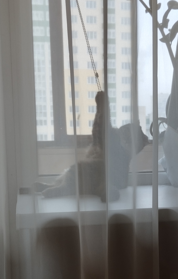 ����� �� ���� ���� ������ ���������� ����