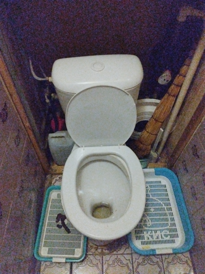 Да нафиг кошек. Запускаем волну унитазов