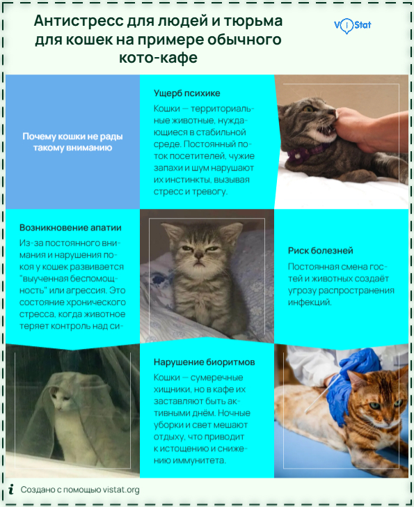 �����������: <!--noindex--><a href="https://pikabu.ru/story/antistress_dlya_lyudey_i_tyurma_dlya_koshek_na_primere_obyichnogo_kotokafe_13515508?u=http%3A%2F%2FViStat.org&t=ViStat.org&h=65c18ab5b05317b477862a1a66e6877feafc68ab" title="http://ViStat.org" target="_blank" rel="nofollow noopener">ViStat.org</a><!--/noindex-->