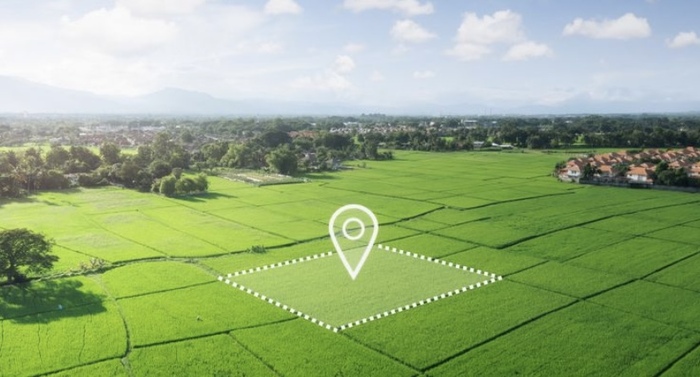 ������ ����� ��� ������. ��� ������