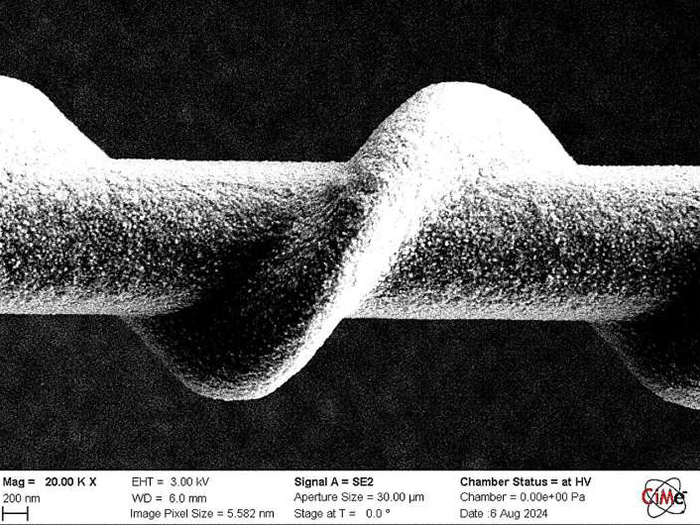 ����������� � ������� ����������� ����������� ����������� (���) �������������� ���������� ������� �� ������ ������, �������������� � EPFL CMi; ����������� ������������� ��� ��������� � EPFL CIME.