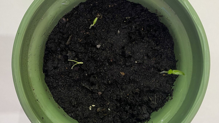 �� �� �����-�� ��� � ���������� �����!