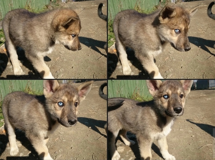 �� ����� ���� ������