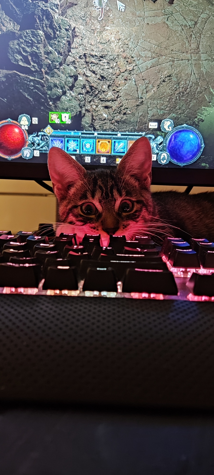 �� ����� ���� �����