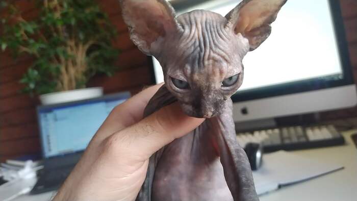 ��� ������ ���������� �����