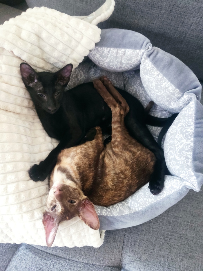 ��� ������ ���������� ���� � �����