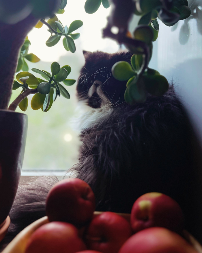 ��� ������� ������. � ���������, ����� ��� ����� �� ���� 🌈