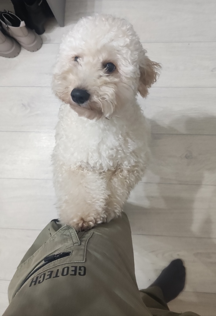 ����� �� ���� ������� ���� ���� - ������