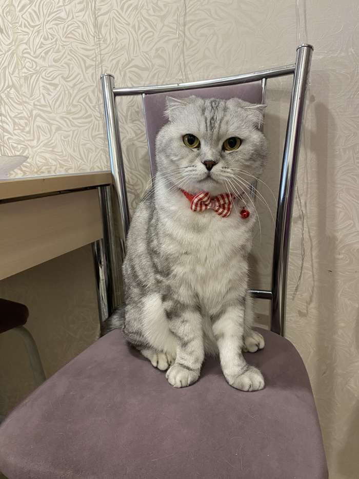 ������ � ���� ���� ������� ,�� �������� ���������� ��� ������� ���������� �������� 😁�� �� ��� �� �� �� ��� ������� ,� ������ �� ������ ��� � ��� ��������� .