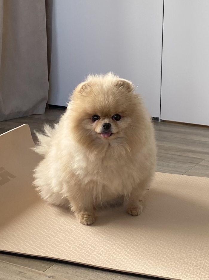 ������ ���� ���� ������