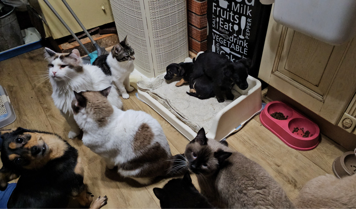 ����� ������ ������ � ���� ���� ���������� � �������.