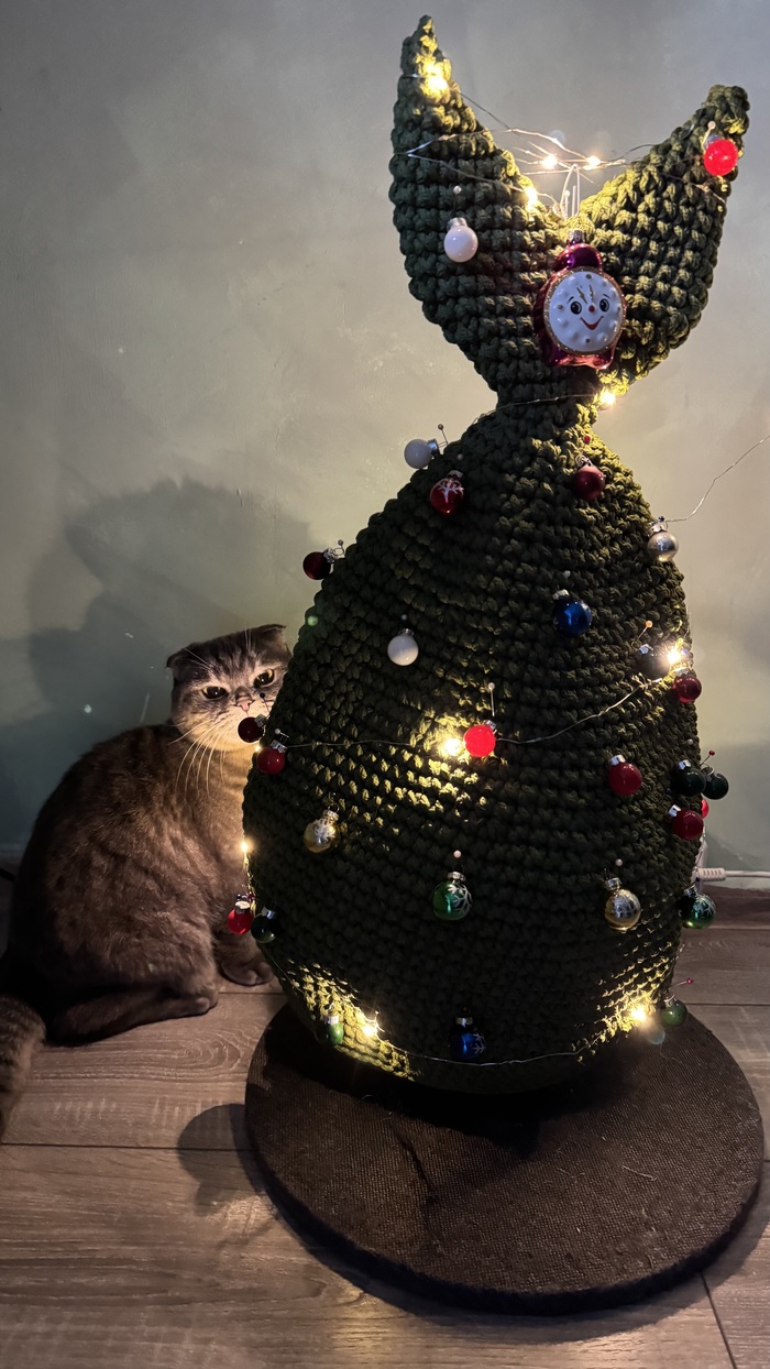  ���� ����� �����