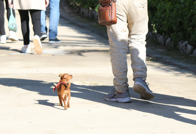 ����� Z1pro � ������� ���� ���� - ������