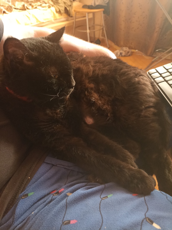 ������ ���� ����