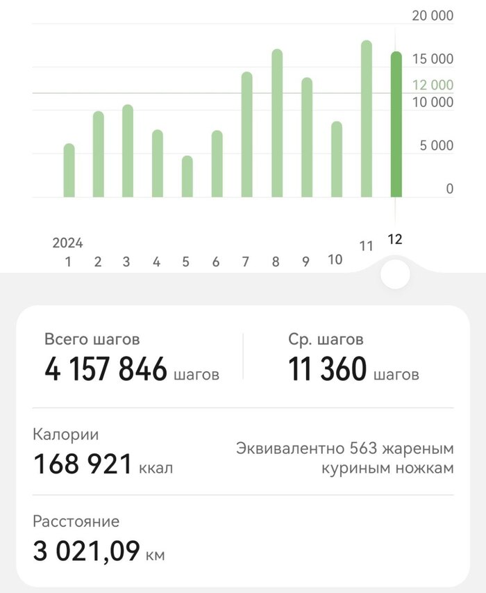 ���� �� 2024�