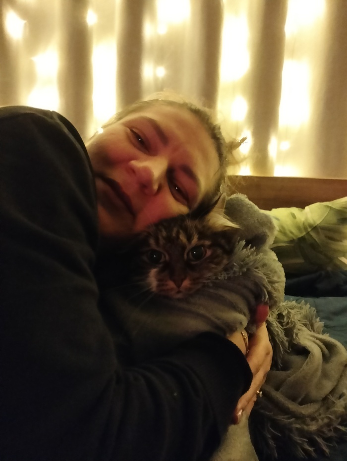 ��� ������ ���������� ���� �������