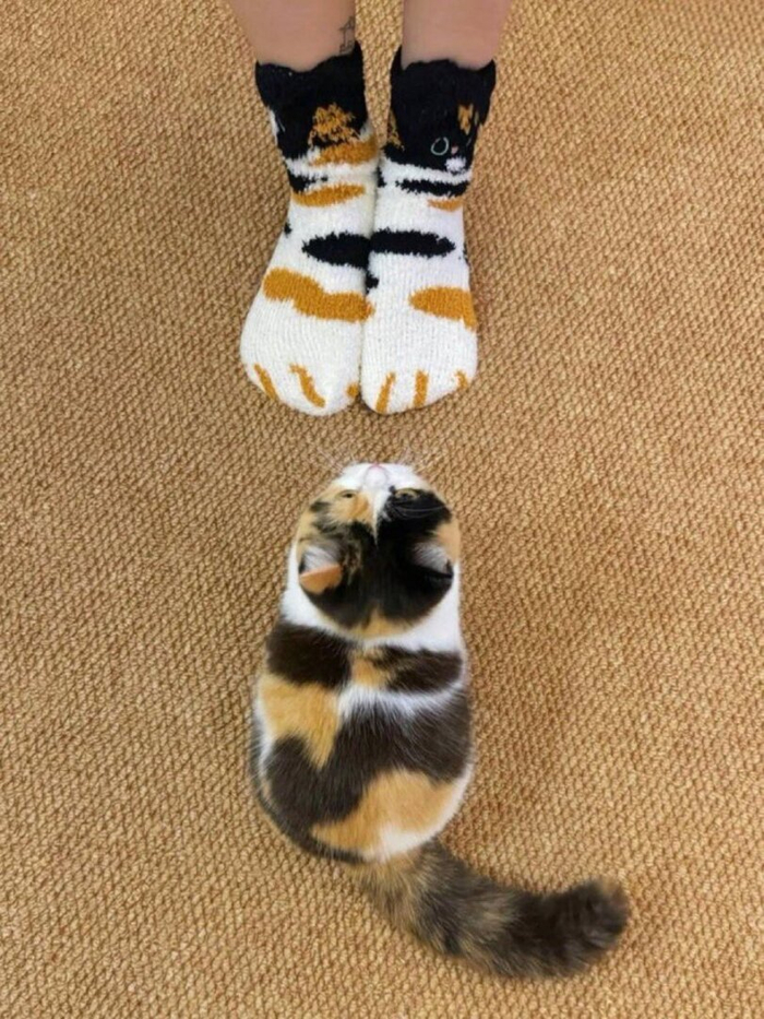 ����� �� ��������� ��� �����?