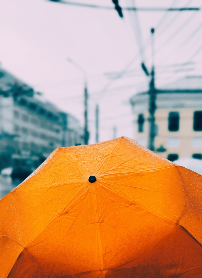 ������ ����������