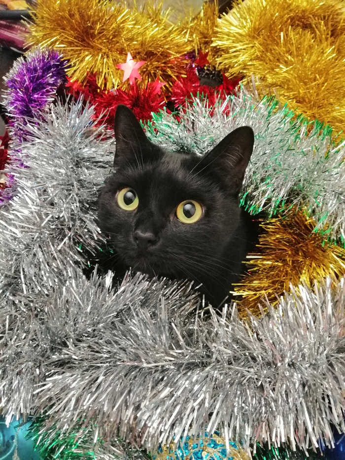 ��� ������ ���������� �����