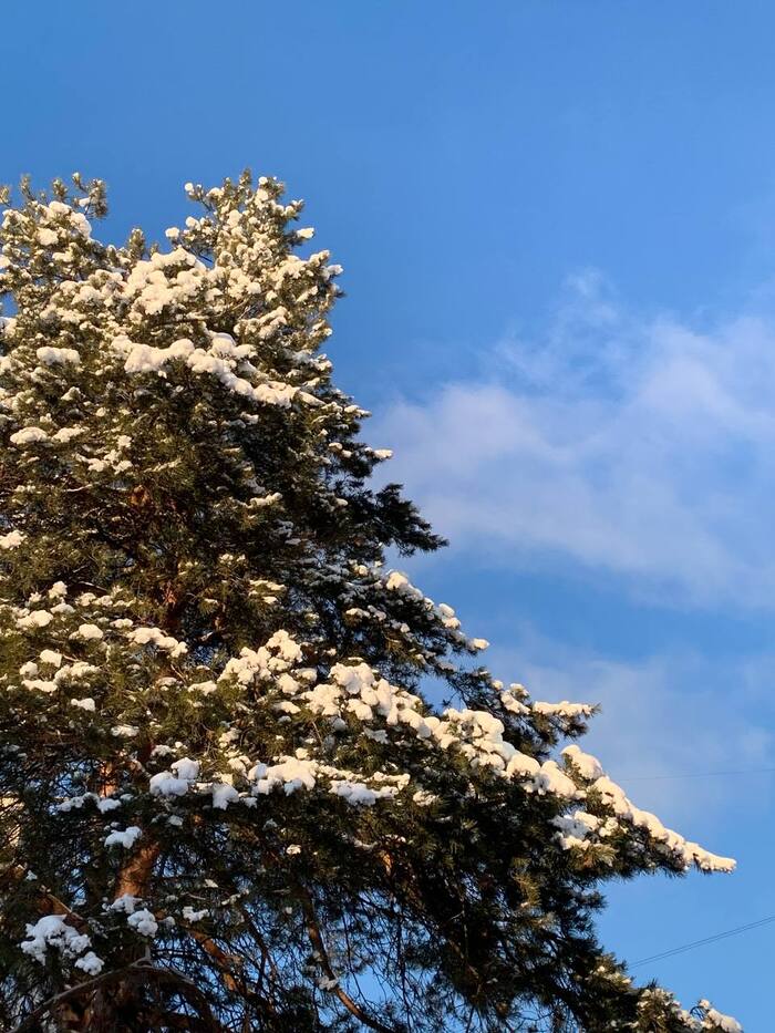 166 дней Есенина #90