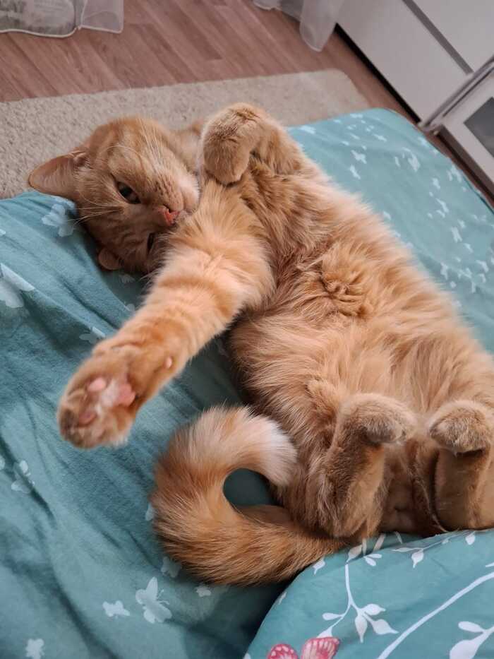 ������ ����� ����� ����