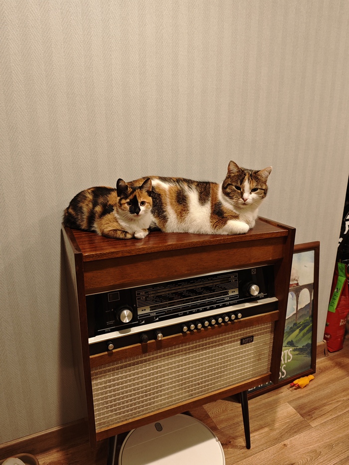 Лучшее фото