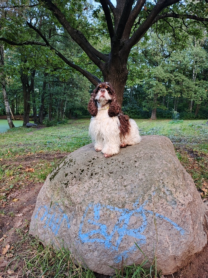 Вот вам и моя лучшая фотка!