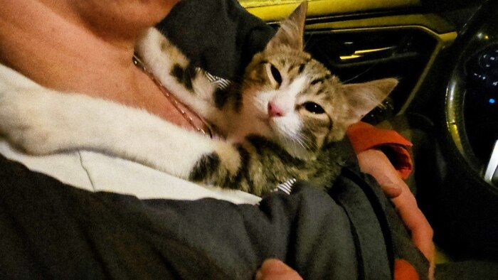 ���� � ������� � ��������� 😄