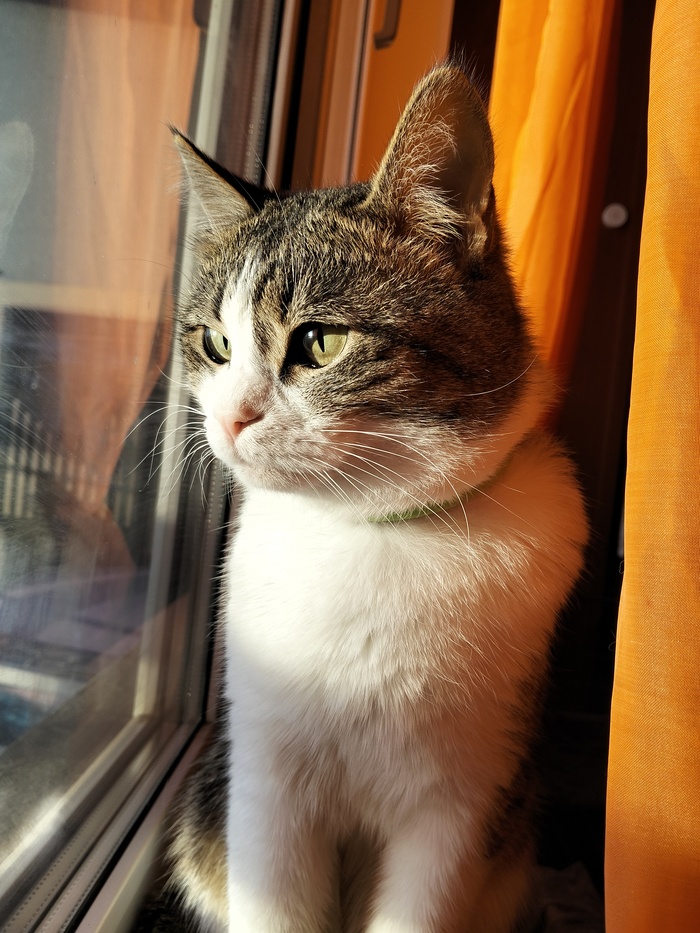 �� ������ ���� ����, �� ����� ����� �����