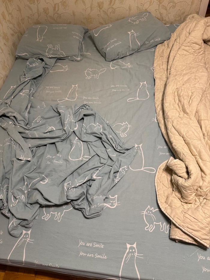 ������� ���������