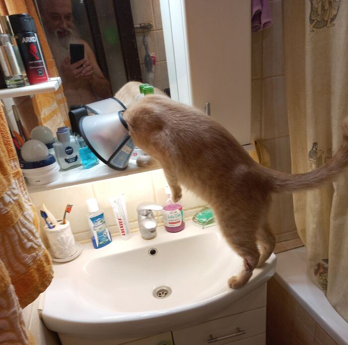 ������� �����. � ���. ������� ������. �� �������� �� �������