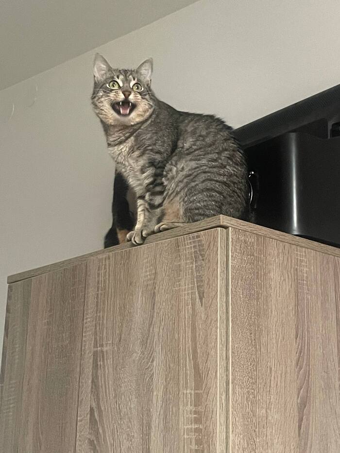 �� ������ ���