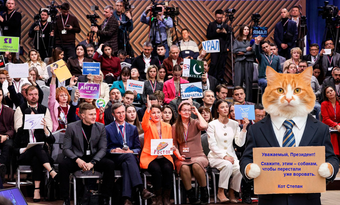 Лучшая, на сегодня, фотография моего кота