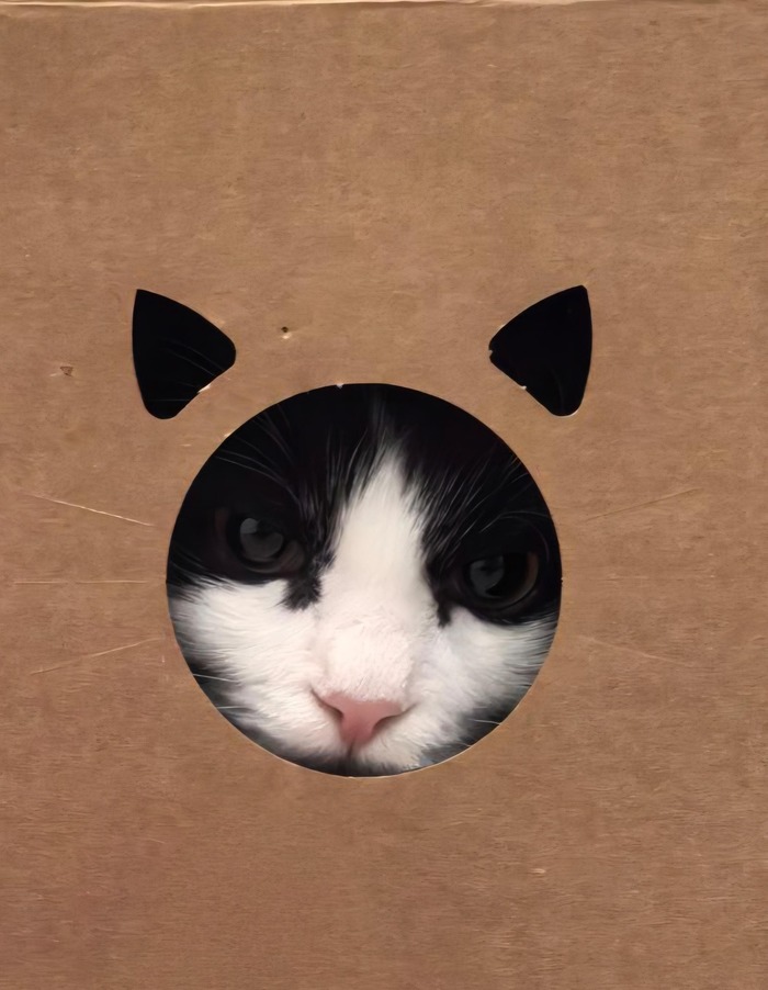 ������ ���� �������