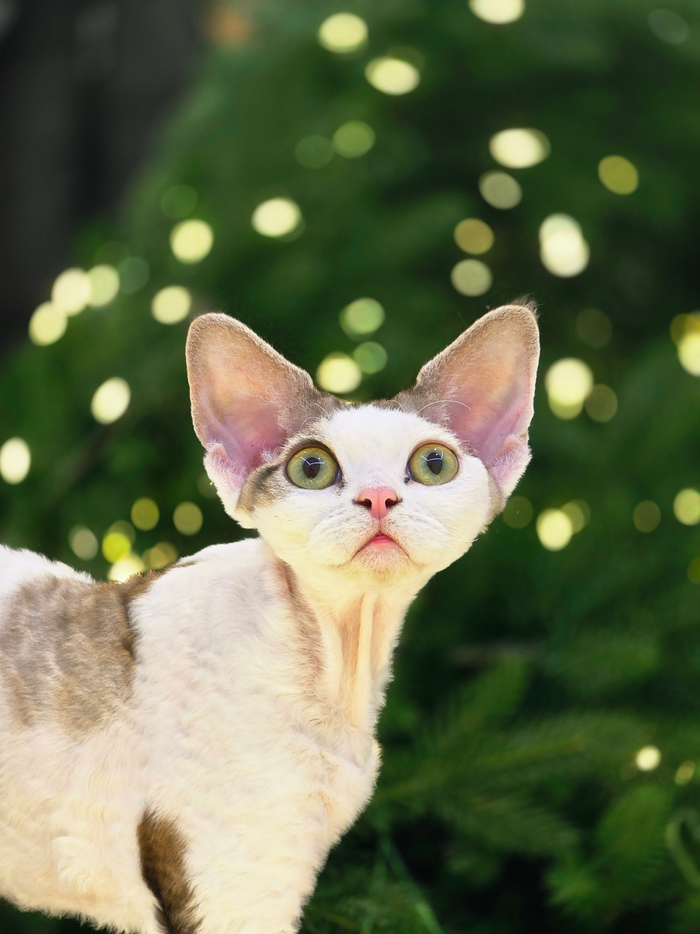 � �� ����������� �����