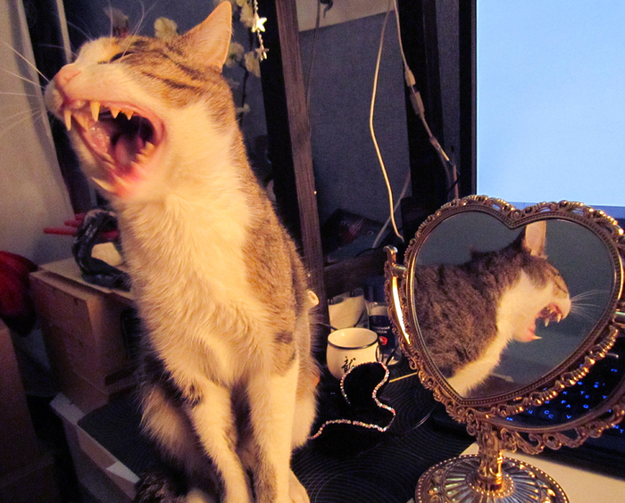 "� ���� ����� ��������!!!�������" 