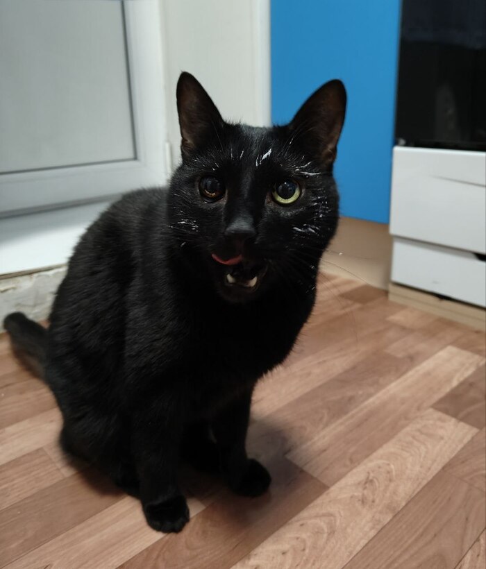 �������!