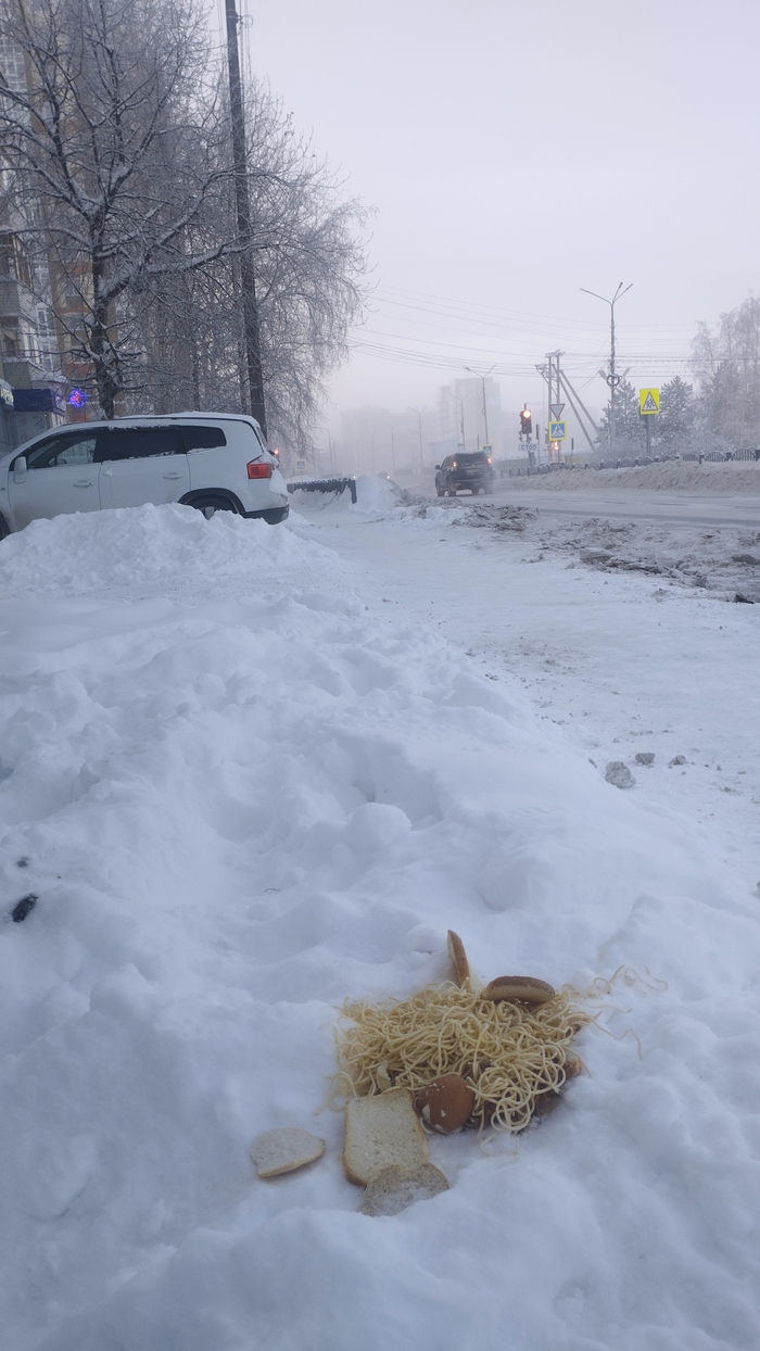Шок-контент! Макаронный монстр приземлился в Сибири и замёрз насмерть!